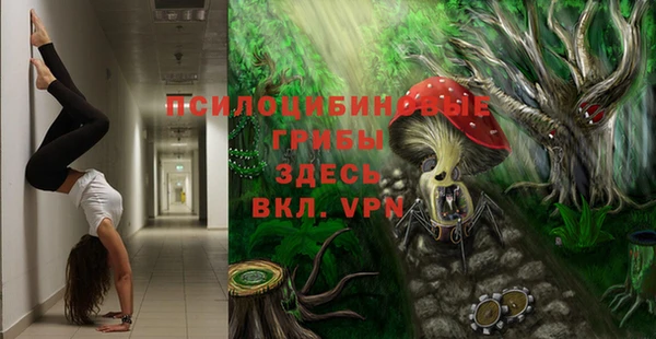 метамфетамин Сосновка
