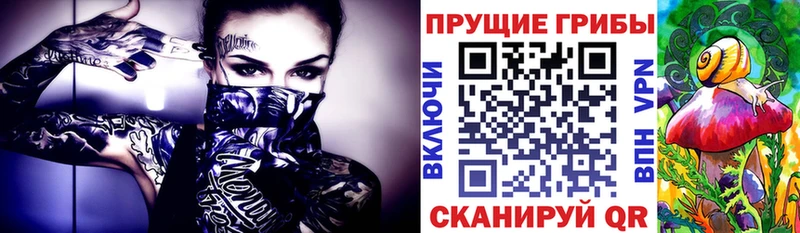 Псилоцибиновые грибы мицелий  Багратионовск 