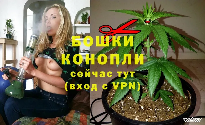 Бошки Шишки White Widow  Багратионовск 